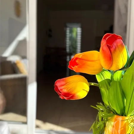 Cozy Escape In Peyia, Sea Caves דירה *